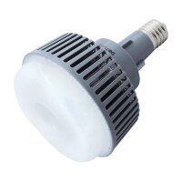 DOTLUX LED-HQL-Ersatzleuchtmittel DONUT E40 80W 5000K