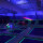 DOTLUX LED-Fluter LENSplus 50W UV/Schwarzlicht 120° Abstrahlwinkel
