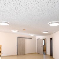 DOTLUX LED-Leuchte LUNAsilver Ø330mm 18W COLORselect IP44