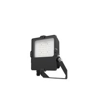 DOTLUX LED-Fluter LENSplus 50W 3000K 30° Abstrahlwinkel