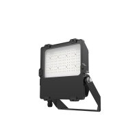 DOTLUX LED-Fluter LENSplus 100W 3000K 30*60°...