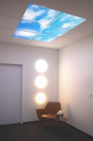 DOTLUX Motivplatte SKYLIGHT für Einbaupanels...