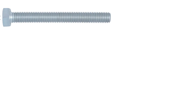 Sechskantschraube M10x25 Außensechskant SW 17 passend für Mastadapter Dolphin