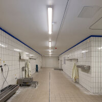 DOTLUX LED-Feuchtraumleuchte MISTRAL IP66 640mm 26W 4000K gefrostet B-Ware