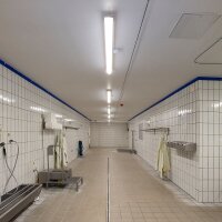 DOTLUX LED-Feuchtraumleuchte MISTRALsensor IP66 1540mm 42W Powerselect 4000K gefrostet mit Radarsensor B-Ware