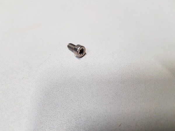 A2 Zylinderschraube ISO 14579 M4x8 TX