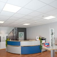DOTLUX LED-Panel FLATevo 620x620mm max. 36W UGR<19 4000K B-Ware