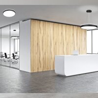 DOTLUX LED-Leuchte DISCugr Ø1000mm 90W COLORselect DALI schwarz