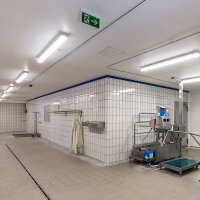 DOTLUX LED-EX-Schutzleuchte MISTRALex EX Geschützt IP66 1272mm 44W 4000K IK10 Zone 2 & 22 DALI